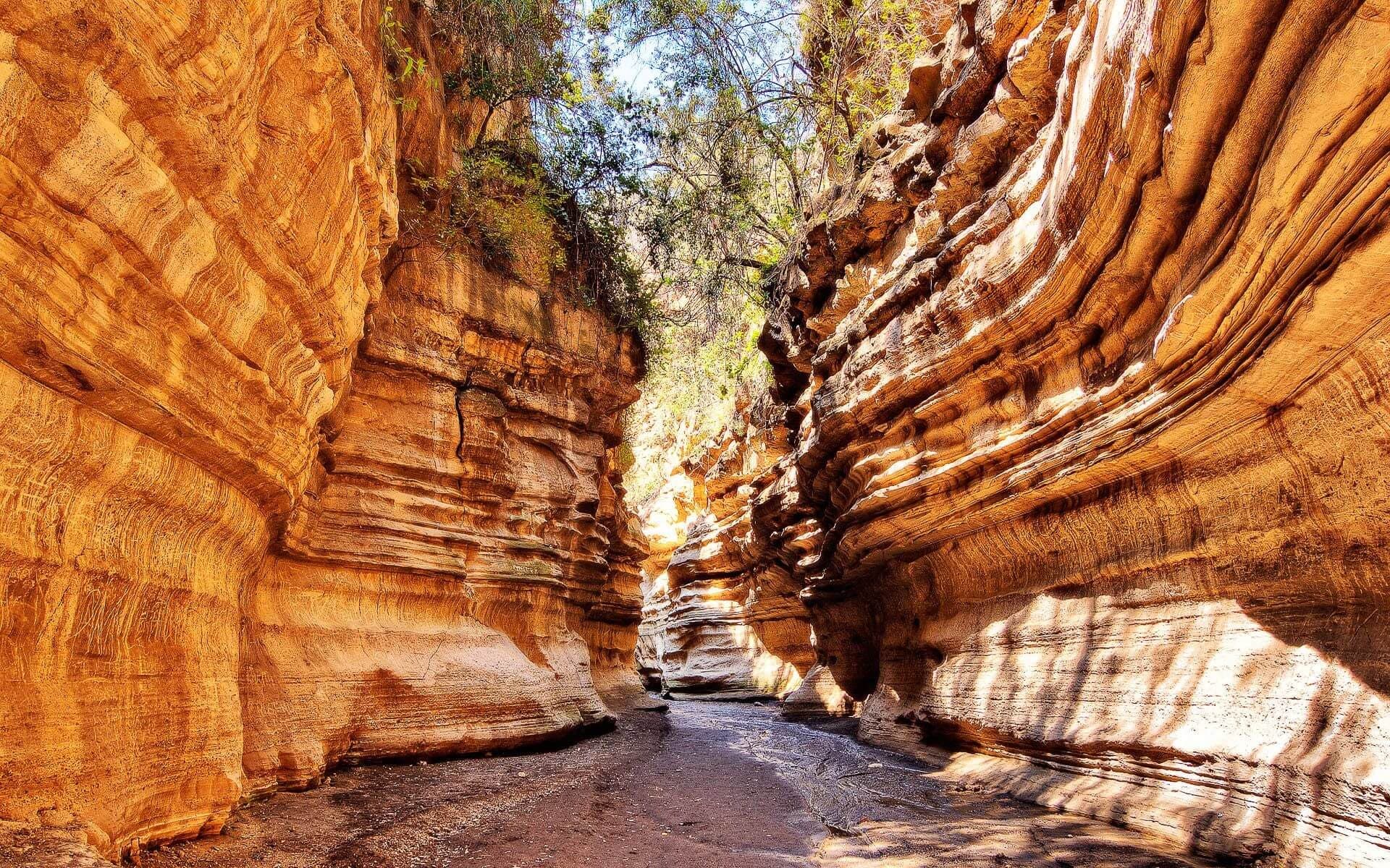 One of the very few Kenyan parks you are allowed to walk and cycle in.