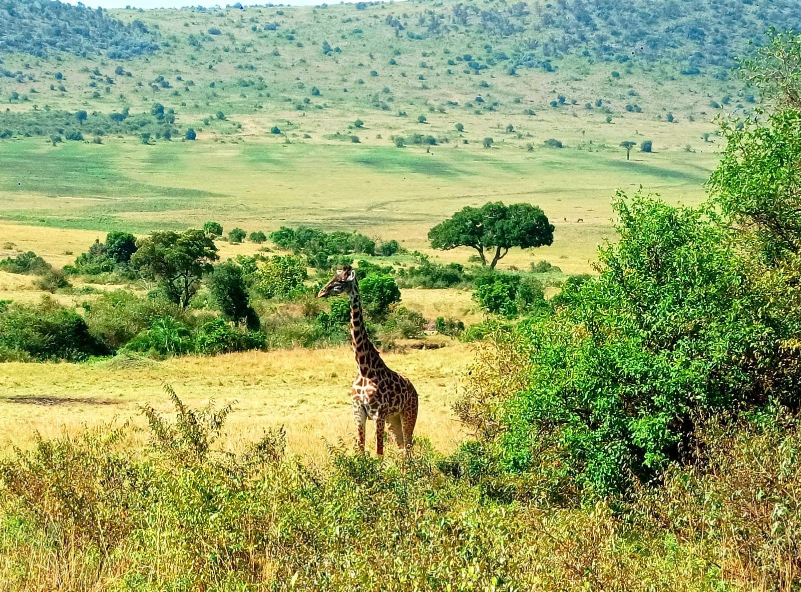 Arusha · Lake Manyara · Ngorongoro · Tarangire · Arusha — the landscape this safari travels through