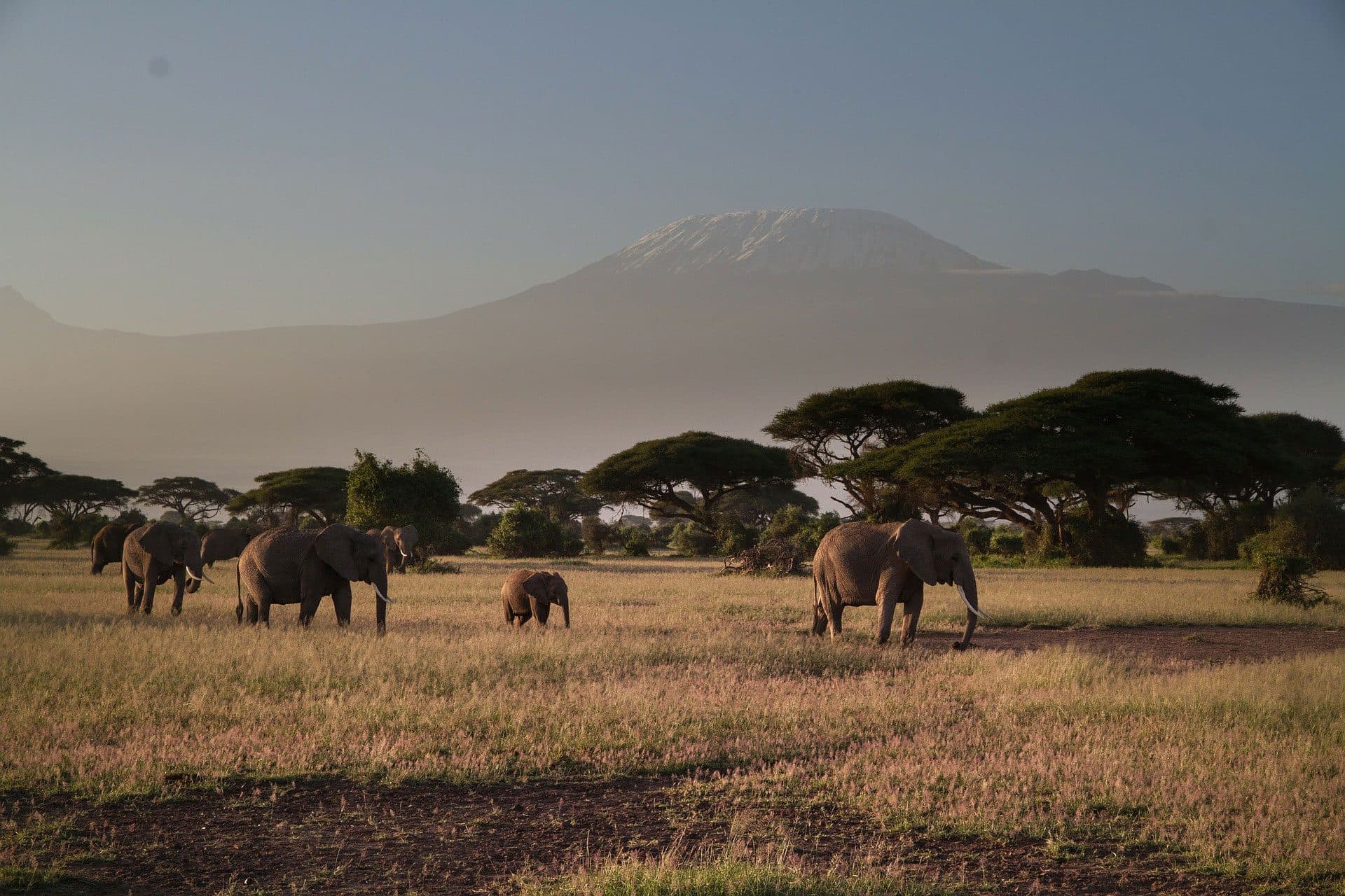 Nairobi · Amboseli · Nairobi — the landscape this safari travels through