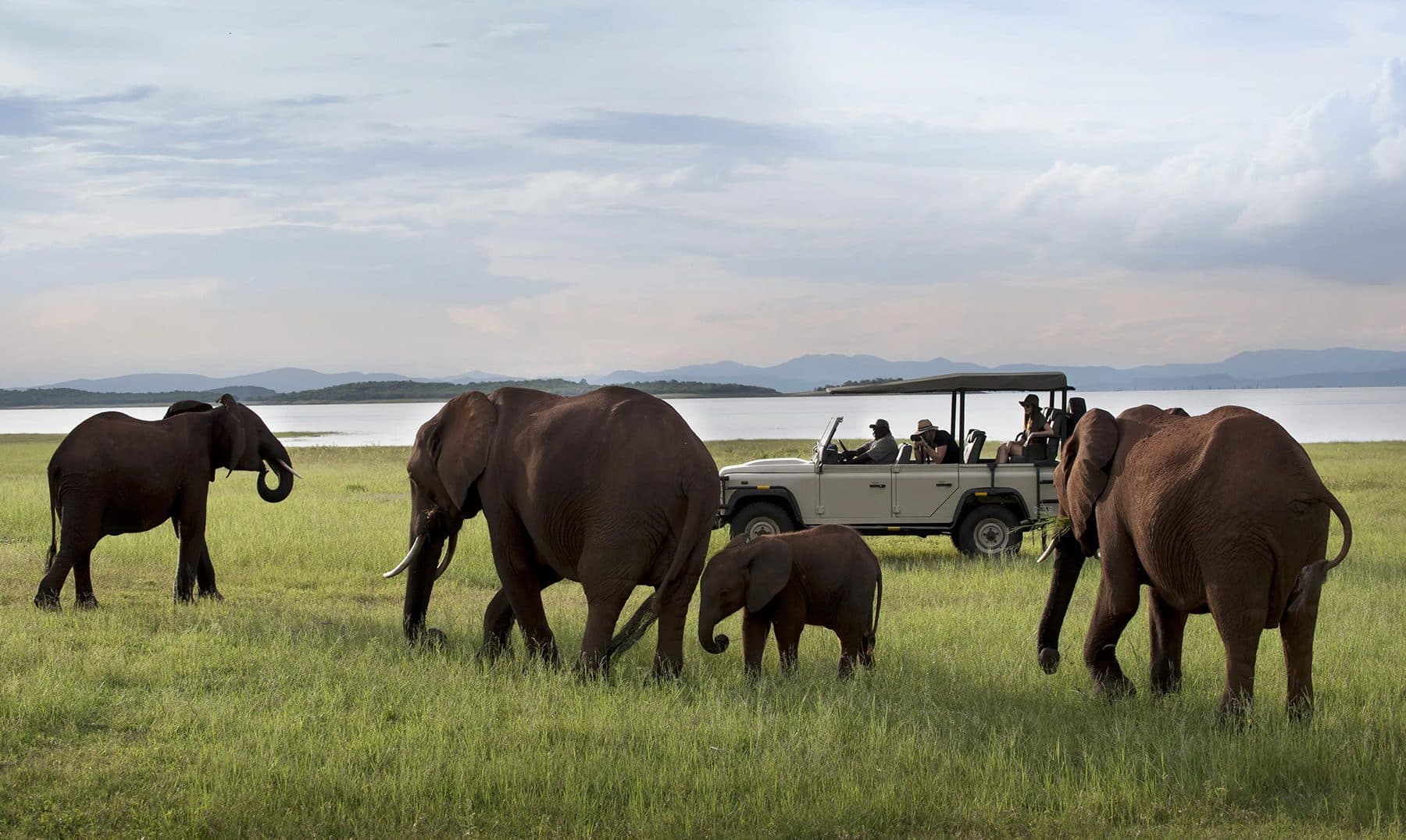 Elephants, a safari vehicle and the lake in Amboseli