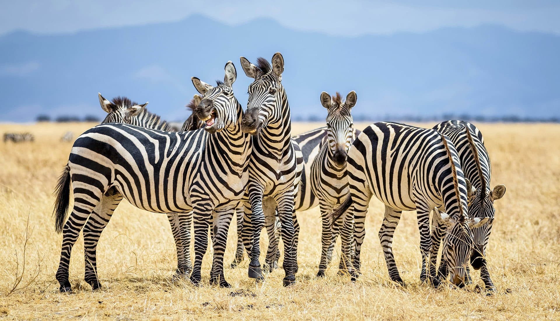 Nairobi · Maasai Mara · Nairobi — the landscape this safari travels through