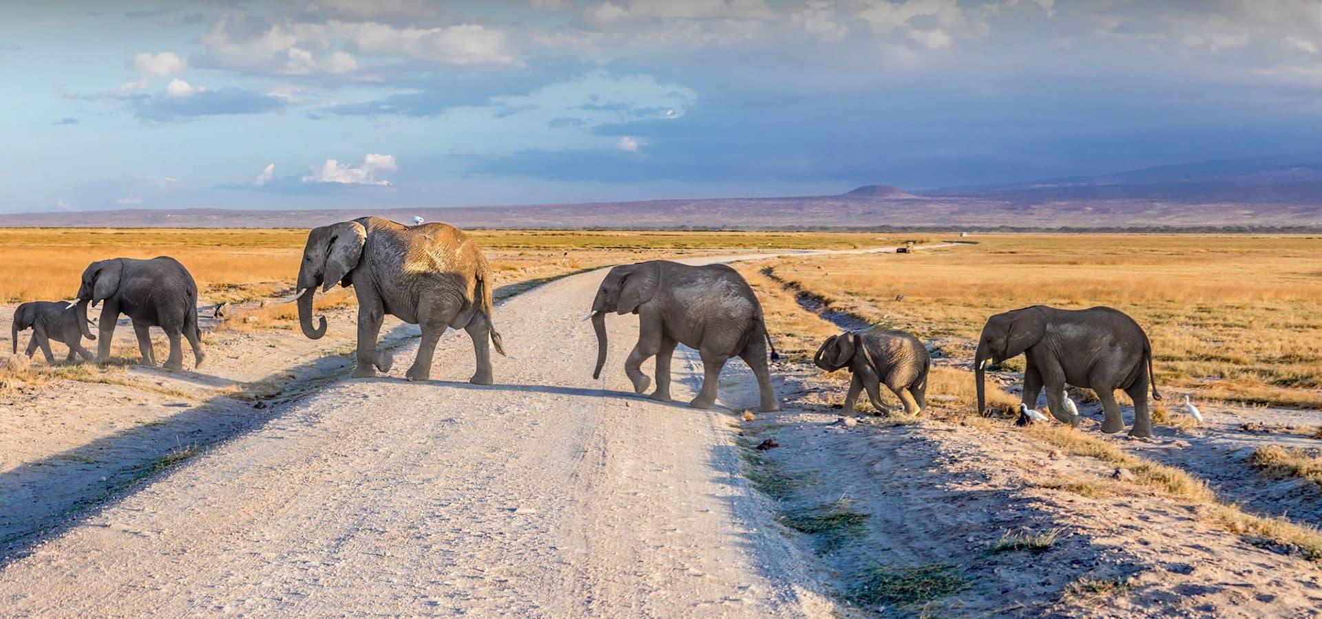 Amboseli National Park — Elephant country beneath Kilimanjaro, with swamps that hold game through the dry months.