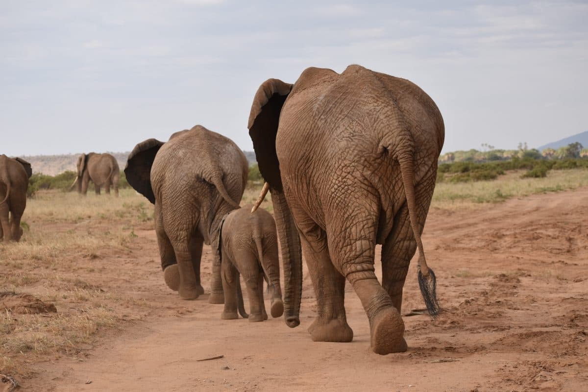 Arusha National Park