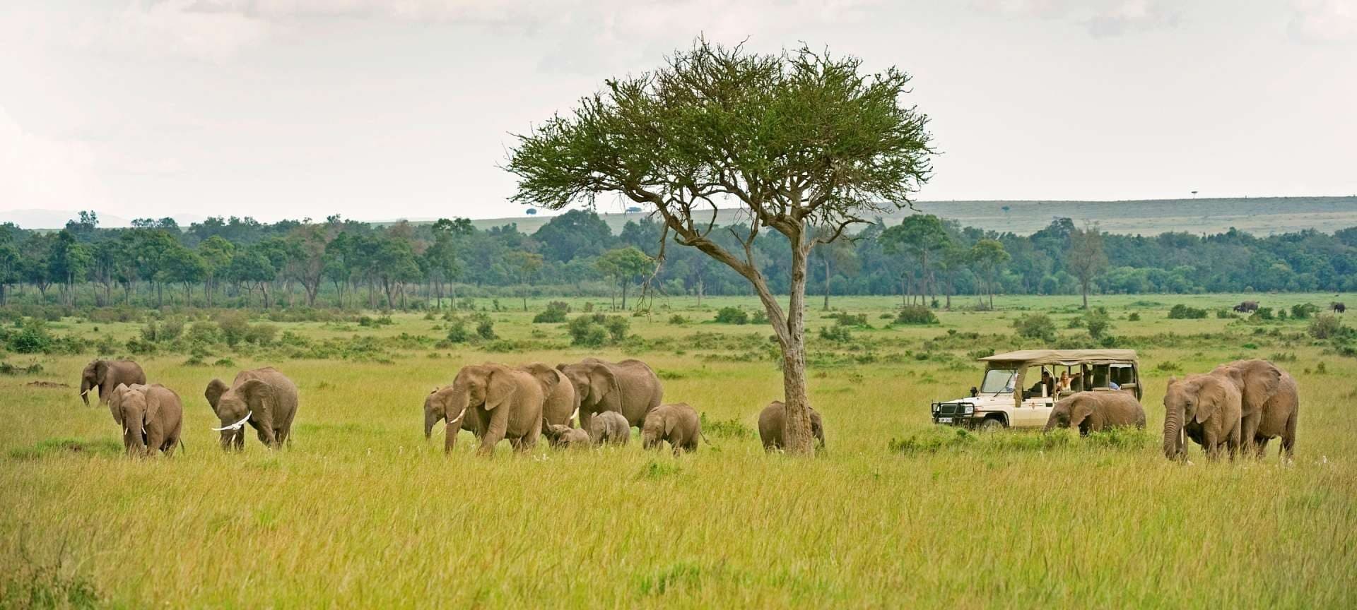 Tarangire river drives