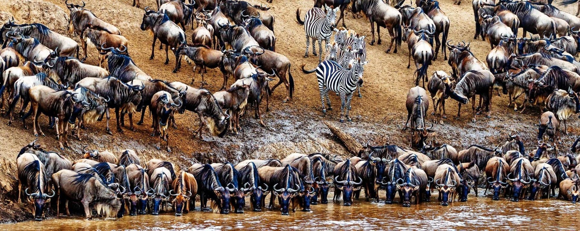 The Great Migration