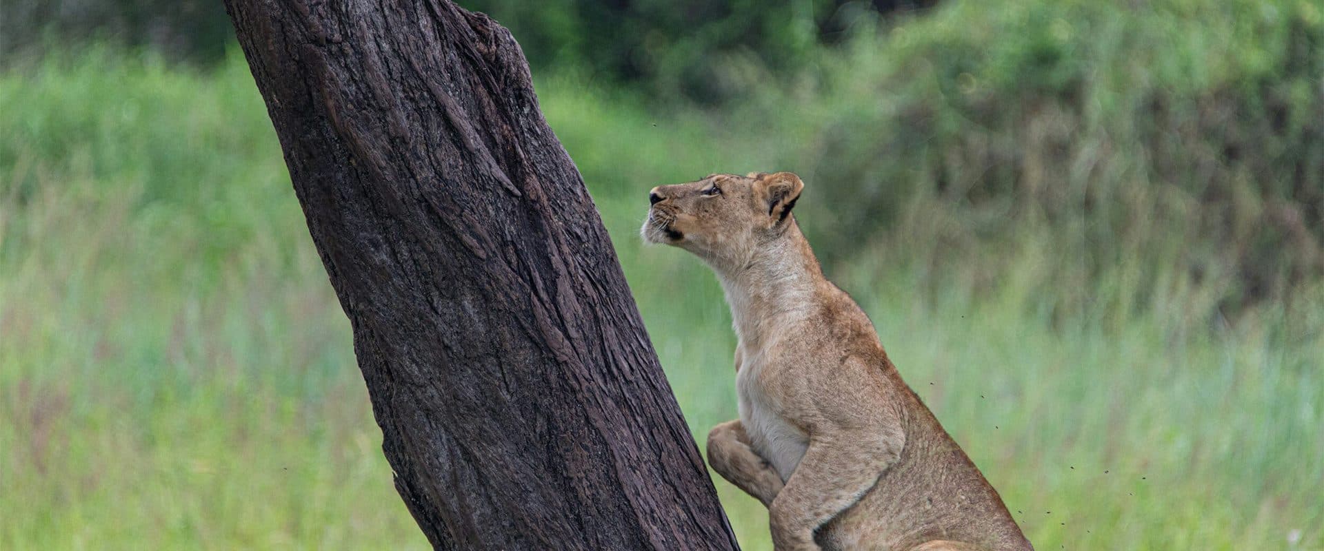 Nairobi · Maasai Mara · Lake Nakuru · Nairobi