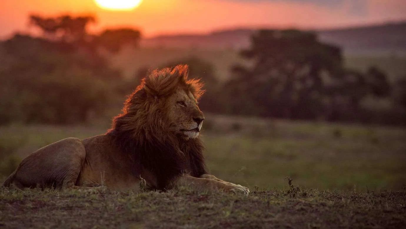 Nairobi · Maasai Mara · Lake Nakuru · Lake Naivasha · Nairobi