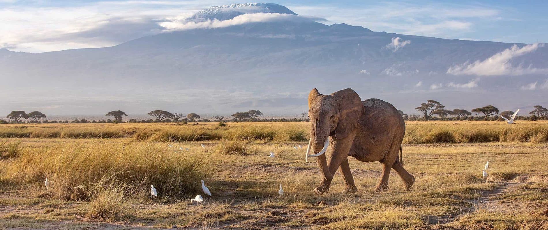 Nairobi · Samburu · Lake Nakuru · Lake Baringo & Bogoria · Maasai Mara · Amboseli · Nairobi — the landscape this safari travels through