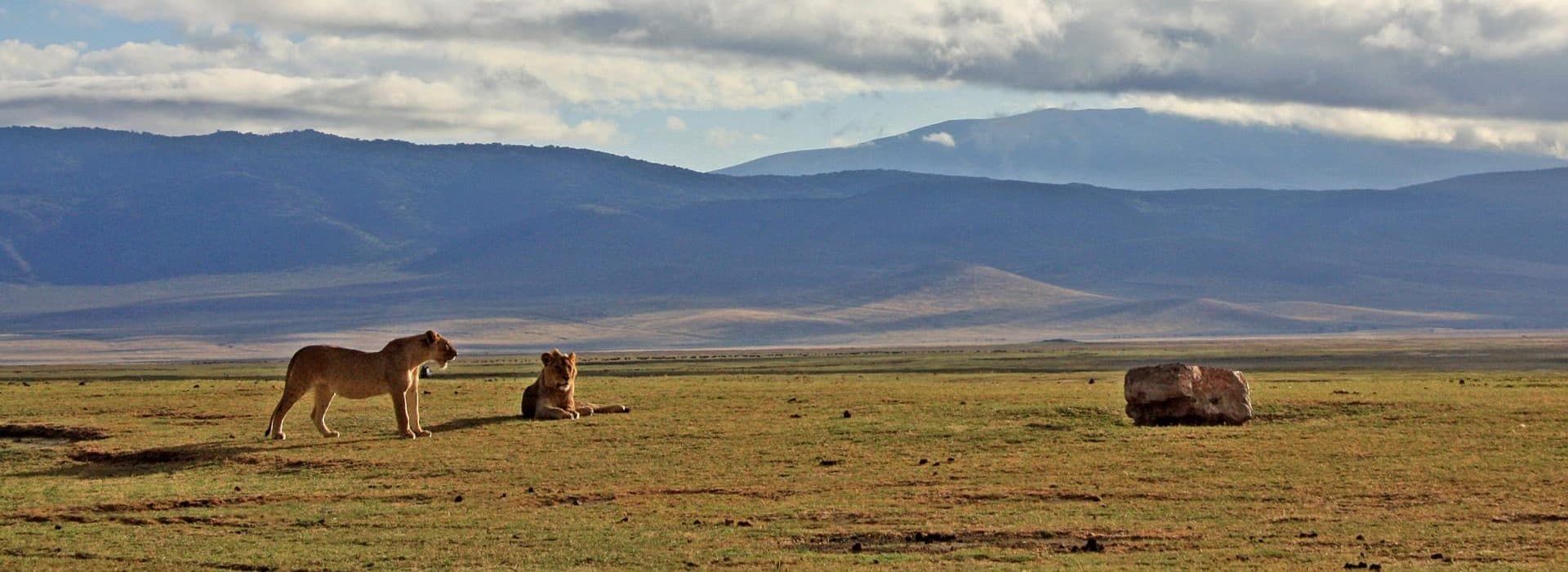 Day 3: Ngorongoro → Arusha