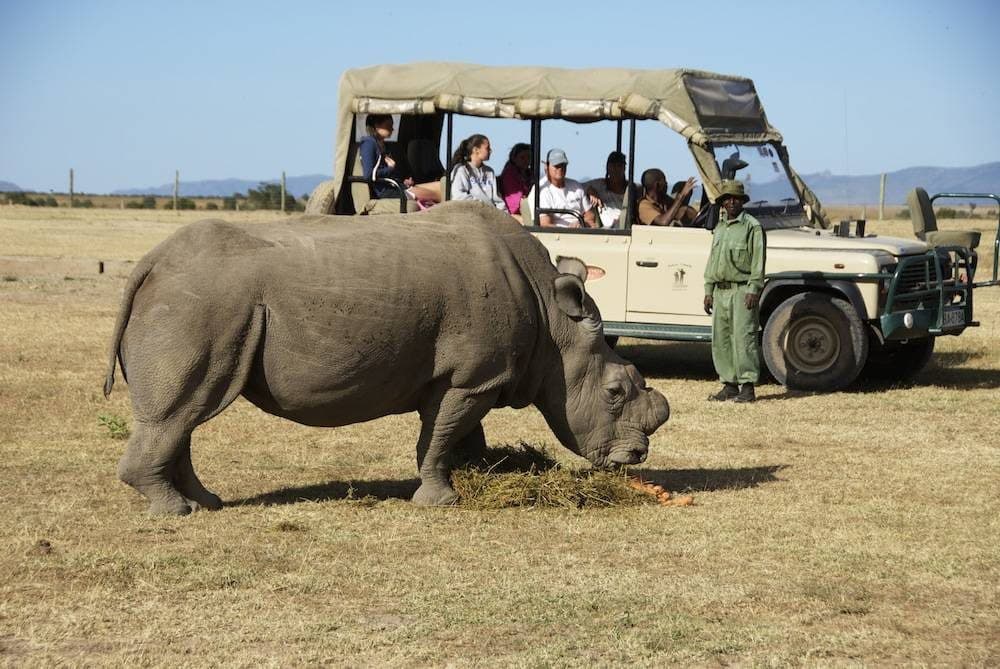 Day 4: Ol Pejeta → Lake Nakuru