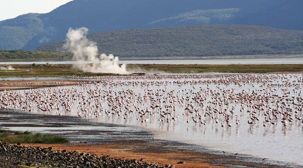 Day 4: Lake Nakuru → Baringo & Bogoria