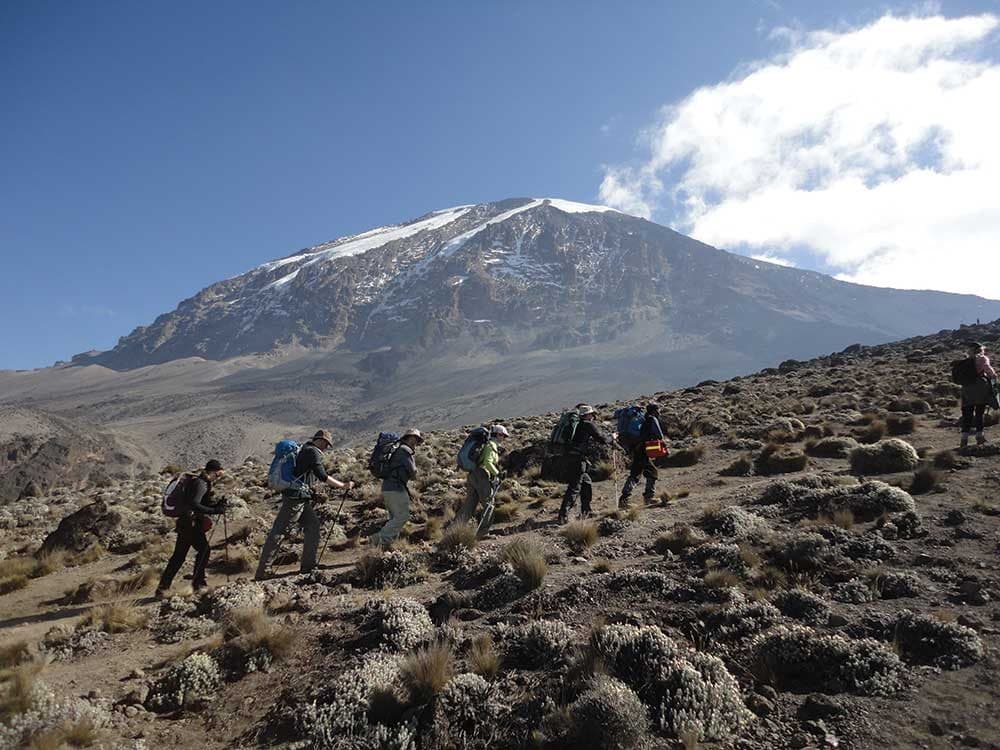 Day 7: Horombo Hut → Marangu Gate → Arusha