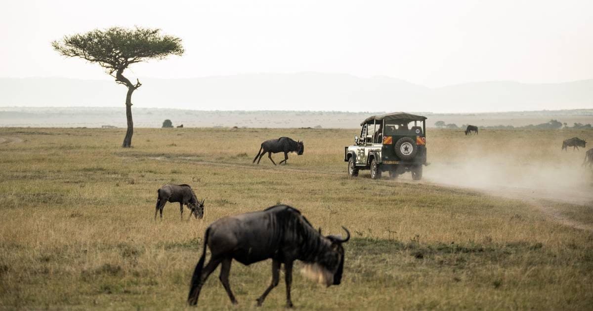 Nairobi · Maasai Mara · Lake Nakuru · Lake Naivasha · Nairobi