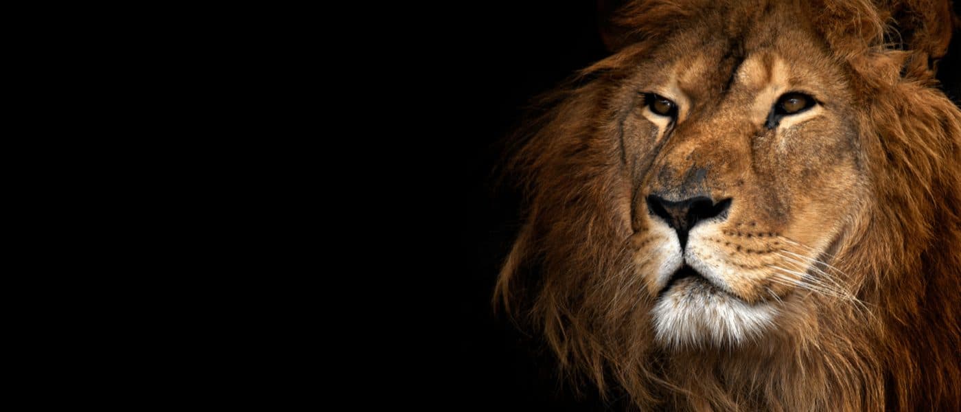 Nairobi · Maasai Mara · Lake Nakuru · Lake Naivasha · Amboseli · Tsavo East · Nairobi