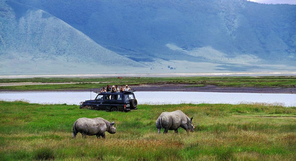 Day 2: Lake Manyara → Ngorongoro → Tarangire