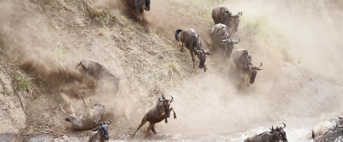 Nairobi · Maasai Mara · Lake Nakuru · Samburu · Nairobi