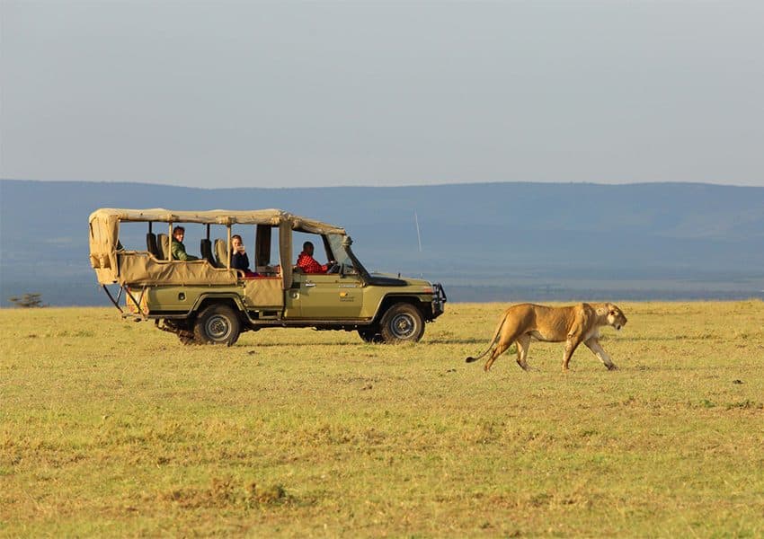 Day 1: Nairobi → Maasai Mara