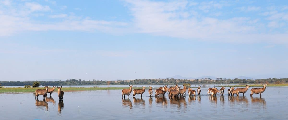 Arusha · Lake Manyara · Serengeti · Ngorongoro · Arusha