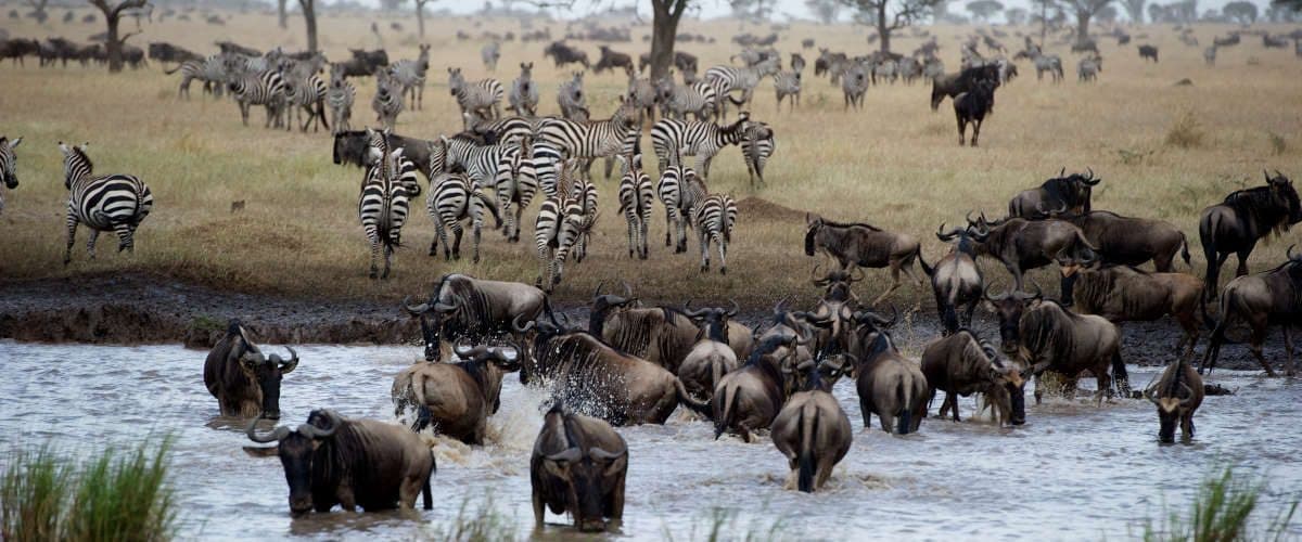 Arusha · Serengeti · Ngorongoro · Arusha