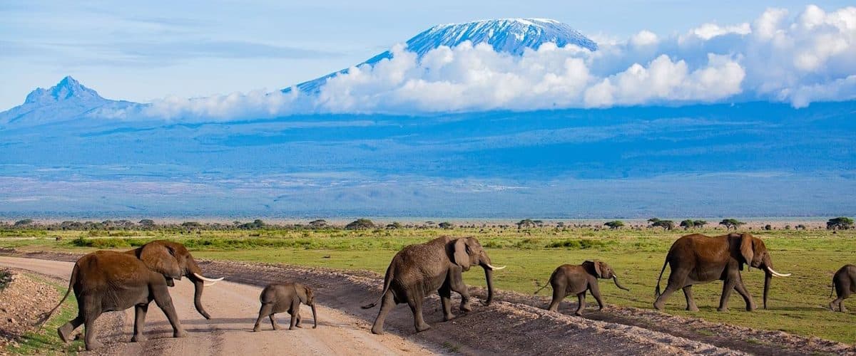 Day 6: Amboseli → Nairobi