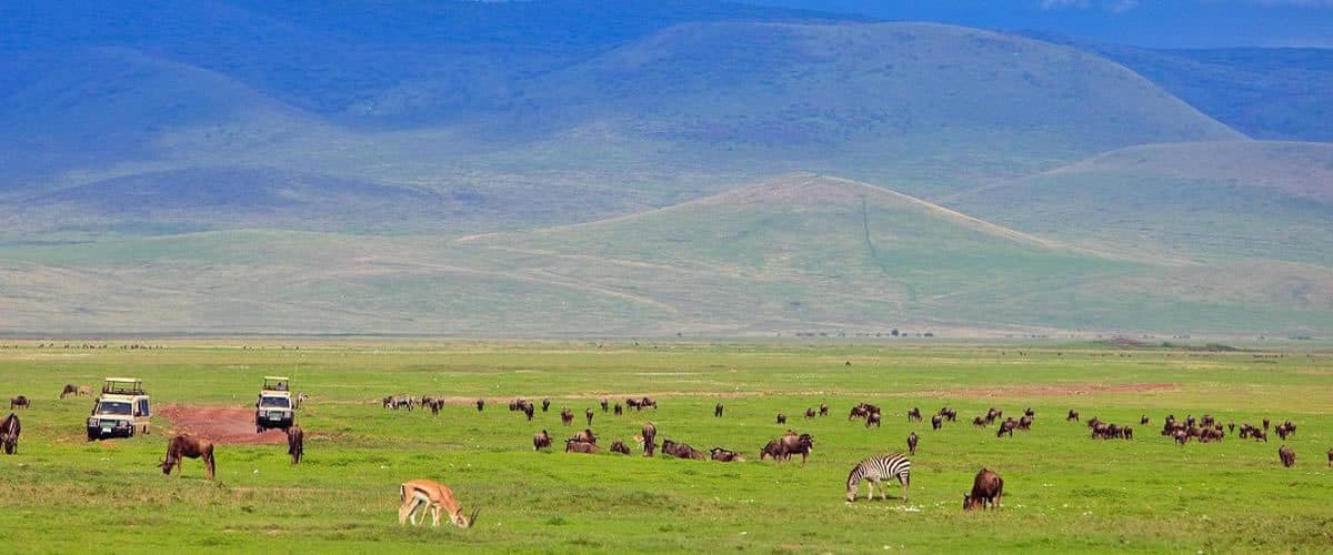 The crater, the crater floor and a safari vehicle in Ngorongoro