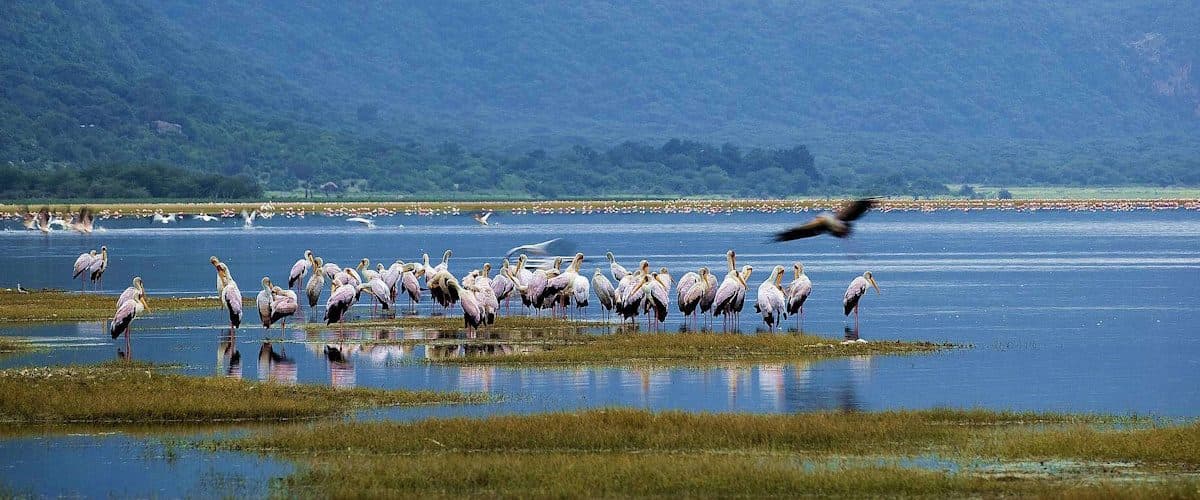 Arusha · Lake Manyara · Serengeti · Ngorongoro · Tarangire · Arusha