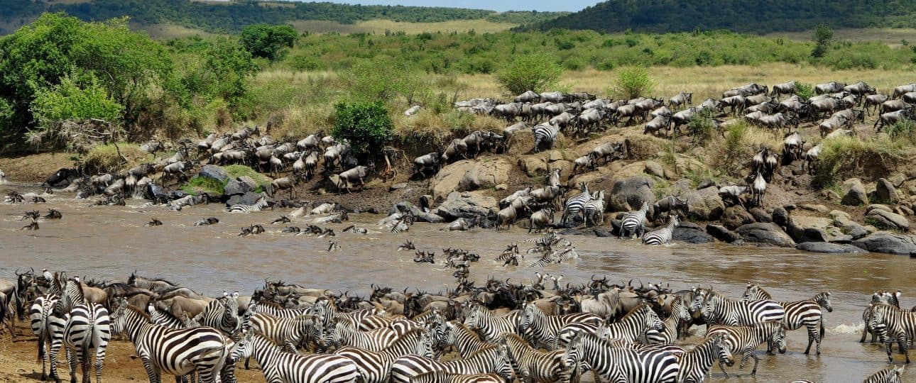 Day 2: Maasai Mara